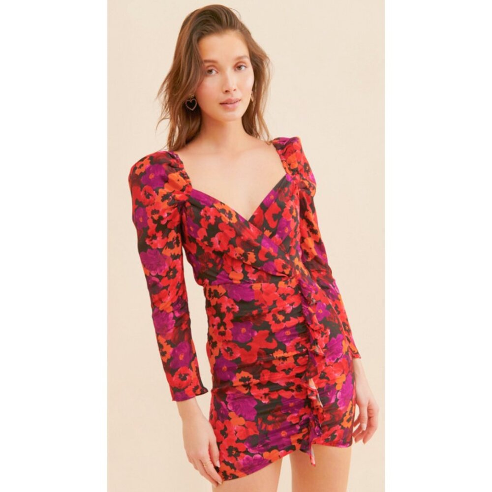 NWT Saylor Alouette Painterly Poppy Floral Mini Dress